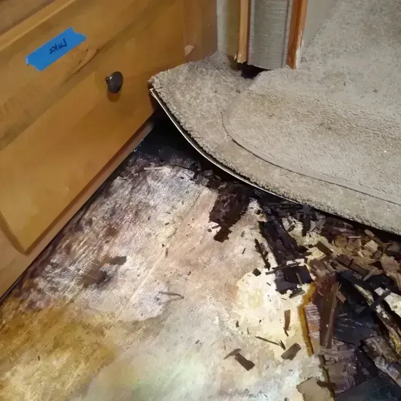 Best Wood Floor Water Damage Service in Paragould, AR